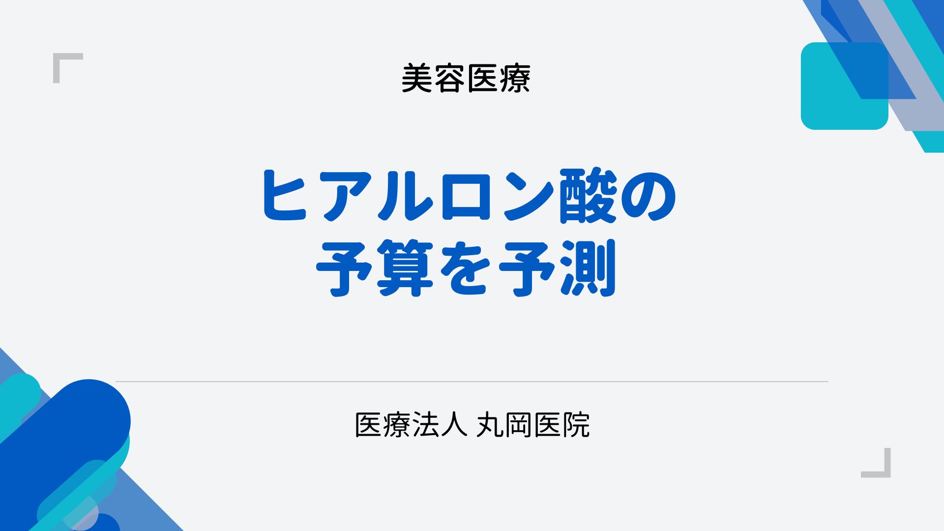 ヒアルロン酸注射の予算を予測！ – 品質を犠牲にせずに美を手に入れる