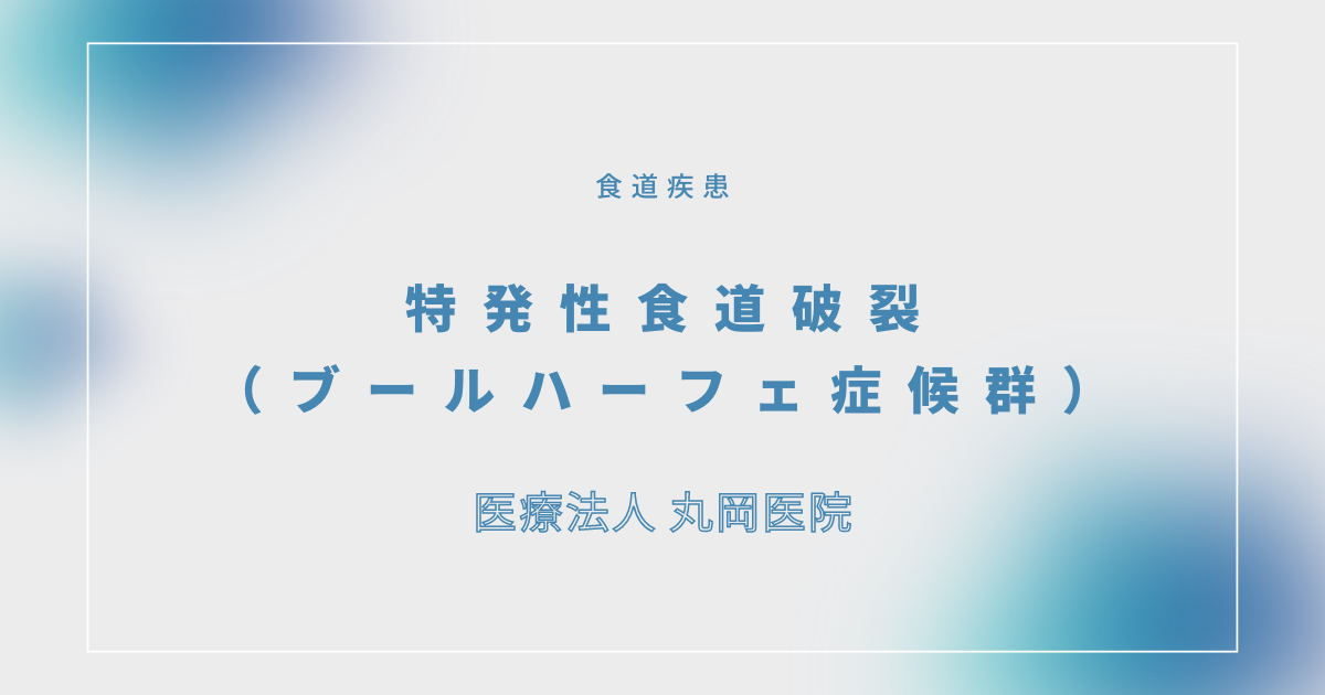 特発性食道破裂（ブールハーフェ症候群） – 消化器の疾患